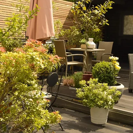 Avoca House Couette-café Dublin